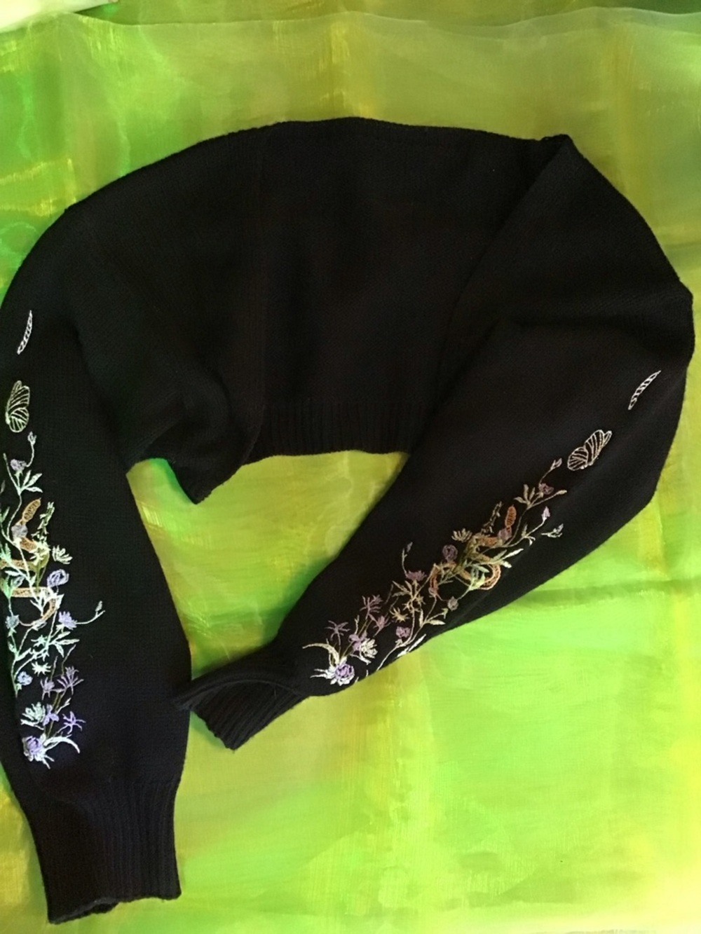 Whimsy Black Cropped Sweater with Purple Floral and Snake Embroidery - Picture 5 of 7